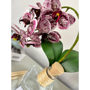 Arranjo Aromático Orquídea Cubo - 700ml