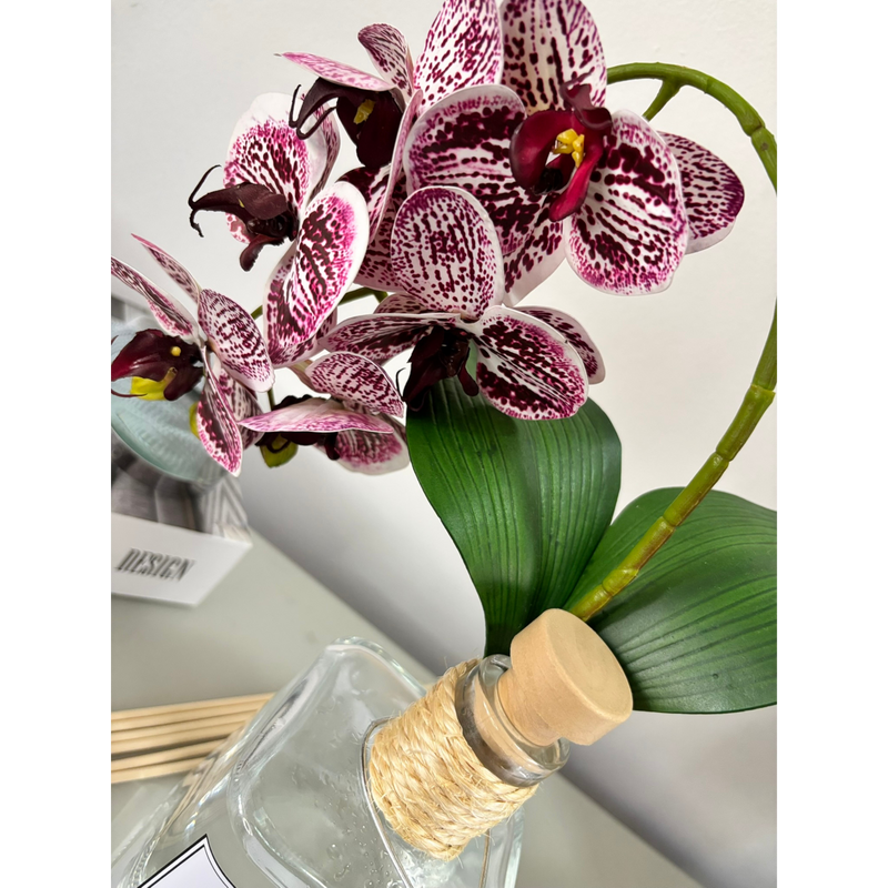 Arranjo Aromático Orquídea Cubo - 700ml