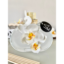 Arranjo Aromático Orquídea Imagination - 300ml