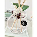 Arranjo Aromático Orquídea Lua - 500ml